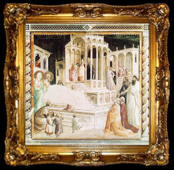 framed  GADDI, Taddeo Presentation of Mary in the Temple dsg, ta009-2